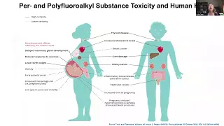 PFAS, the Forever Chemicals: Sources and Ecotoxicology in Aquatic Food Webs