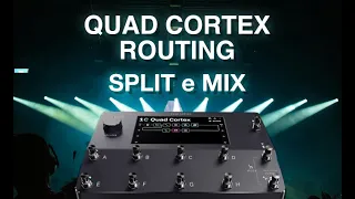 Quad Cortex Split e Mix, routing del segnale