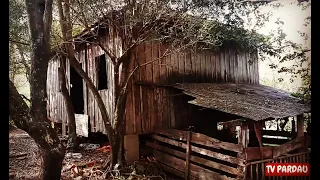 Nunca Vi Tanta Antiguidade Dentro de Uma Casa Abandonada