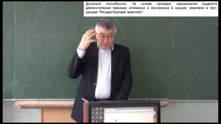 Лекция 6 2  На основе принципа саморазвития выделите диагностические признаки оптимизма и пессимизма