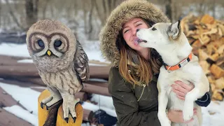 Discover the Fascinating Process Behind Carving This Enchanting Owl 🦉