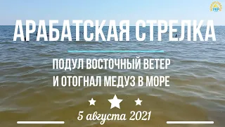 АРАБАТСКАЯ СТРЕЛКА: Восточный ветер отогнал медуз. 5 Августа 2021.