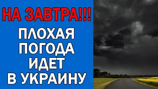 ПОГОДА НА 9 АВГУСТА : ПОГОДА НА ЗАВТРА