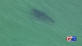 RI man helps victim of shark bite off Cape Cod