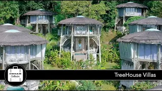 TreeHouse Villas | Ep.38 Dream Collector
