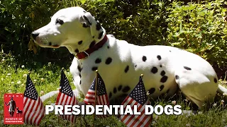 Presidential Dogs