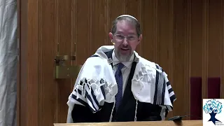 The Genders within God, and within Ourselves! (Rabbi Caine, Rosh Hashanah 2023)