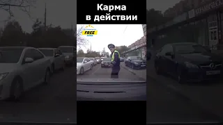 Просто бальзам на душу, До конца автохам