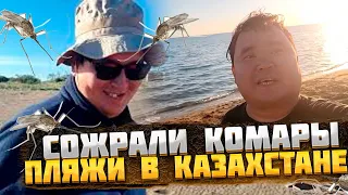 #сожрали #комары, как не закопаться в #барханах песка и #пляж #Баунти в Казахстане.