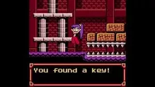 [TAS] Shantae 100% in 1:39:21.68