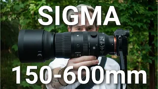 Sigma 150-600mm F5-6.3 DG DN OS Ultra Telephoto | Cooper Naitove