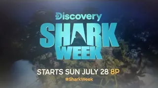 shark week screaming