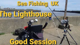 Sea Fishing at the Lighthouse