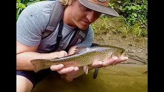 RAINBOW and BROOK TROUT FISHING with ROOSTER TAILS in RIVERS