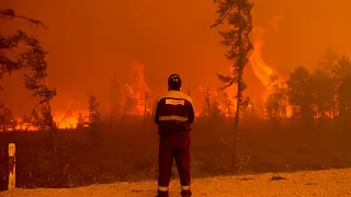 Arctic heatwave was behind Siberia wildfires: WHO | "Something is badly wrong with our climate"