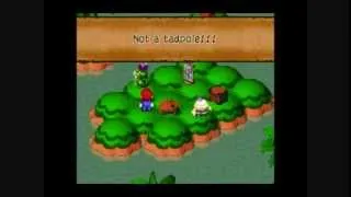 Super Mario RPG: Legend of the Seven Stars - Mallow is not a Tadpole