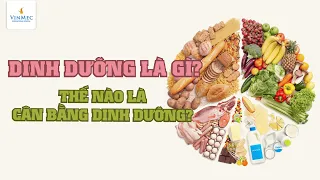 Dinh dưỡng là gì? Thế nào là dinh dưỡng cân bằng?