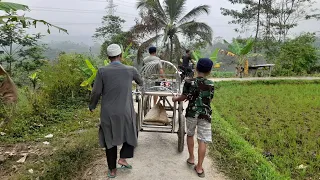 mengiringi kereta jenazah.