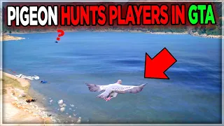 HUNTING PLAYERS as a PIGEON NPC in GTA 5 | DonDada RP