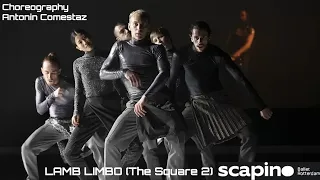 Lamb Limbo (Scapino Ballet / The Square 2) trailer