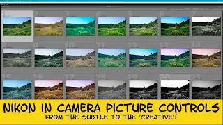 Nikon in camera picture control - from the subtle to the creative!