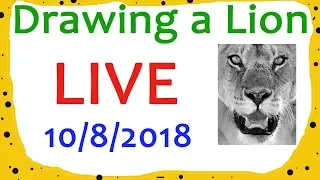 How to Draw Fur | Drawing a Lion  | Live Session 10/8/2018