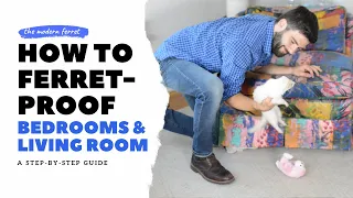 Ferret Proof : Your Bedroom and Living Room