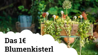 Nur 1€ | Blumenkisterl samt Erde, Bepflanzung und Deko! 😱🌱