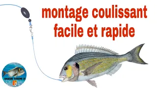 montage coulissant dorade royale