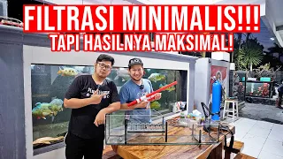 GILAA CRYSTAL CLEAR!! FILTRASI MINIMALIS TAPI MAKSIMAL!! AQUARIUM IKAN PREDATOR AUTO CRYSTAL CLEAR!!