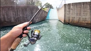 SPILLWAY FISHING IN CRYSTAL MICRO CREEK! -- * GIANT FISH SLIDE *