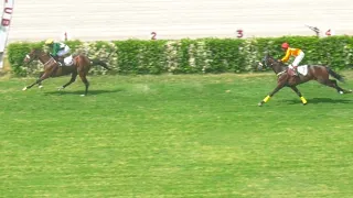 2nd Race The Dear Creek Plate Distance 1000 Meters Winner Luckvir ( Pakistan Horse Racing ) Awais