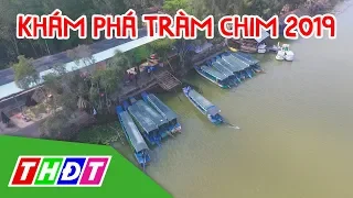 Khám phá một vòng Tràm Chim (Tam Nông) | THDT