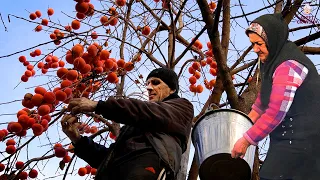 Grandma's Unusual Red Persimmons Dessert Recipe in the Caucasian Village