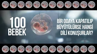 100 bebek bir odaya kapatılıp büyütülürse hangi dili konuşurlar?