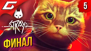 ФИНАЛЬНЫЕ КОТОПРИКЛЮЧЕНИЯ ➤ STRAY ◉ Прохождение #5 [ФиналКонцовка]