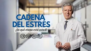 CADENA DEL ESTRÉS ¿En qué etapa está usted?