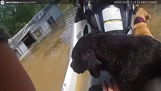 DRAMATIC VIDEO: Houston PD officer rescues man, dogs during high-water flood