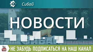 Выпуск новостей за 22 октября 2020 г.