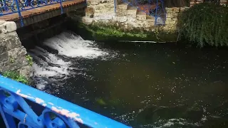 Claude François - Visite au "Moulin de Dannemois" (1) - Le 13 /10/2020 - en Famille💝💝💝💅🙏💅