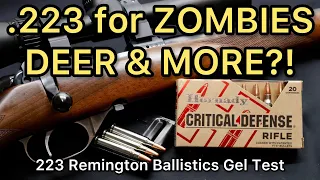 ZOMBIE DEER SLAYERS?! 223 Remington Hornady Critical Defense FTX 73gr Ammo Test