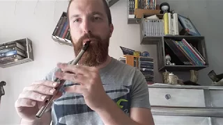 Cernvnnos Eluveitie Evocation II (2) tin whistle Cover