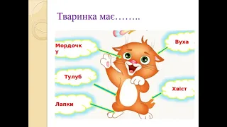 Одеський ліцей №7. Українська мова. 5 клас. Тренувальні вправи. Розвиток мовлення. Опис тварини