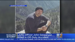 Officer Killed Was LAPD Traffic Investigator