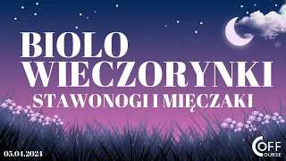 BIOLOwieczorynki - Stawonogi i mięczaki 05.04.2024