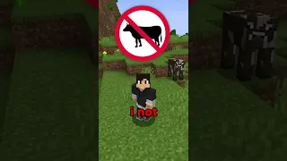 Minecraft if You Had to Follow Laws…