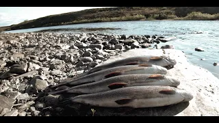 Kalastusvaellus Finnmarkissa || Reissan 2020