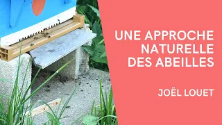 Une approche naturelle des abeilles - Joël Louet
