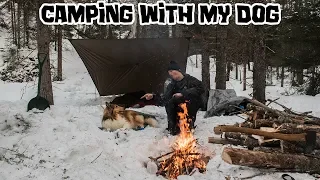 Camping With My Dog in the Snow