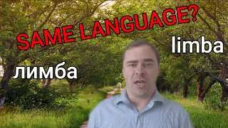 Does Romania speak Moldovan? Same language?